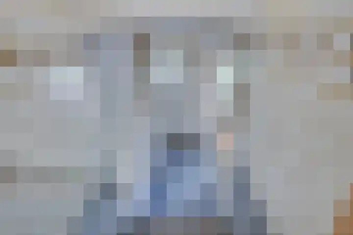 Lieve Vrouwepoldersedijk 23 Stad aan 't Haringvliet thumbnail 38