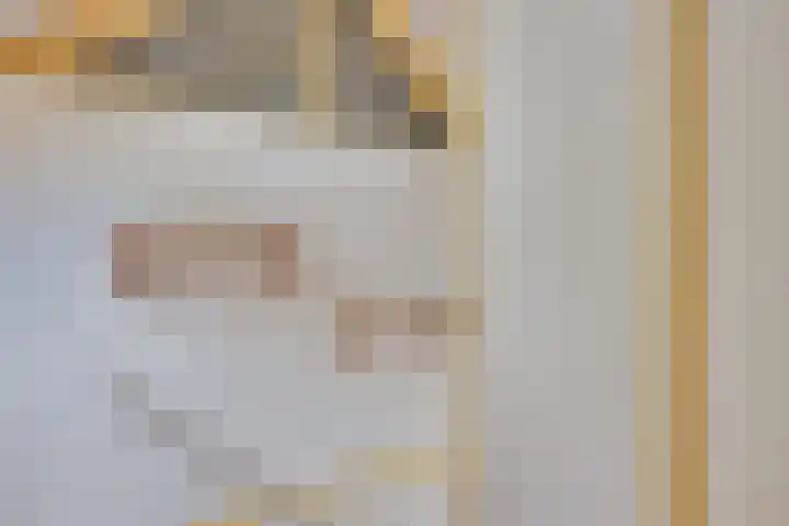 Lieve Vrouwepoldersedijk 23 Stad aan 't Haringvliet thumbnail 39