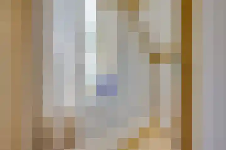 Lieve Vrouwepoldersedijk 23 Stad aan 't Haringvliet thumbnail 40