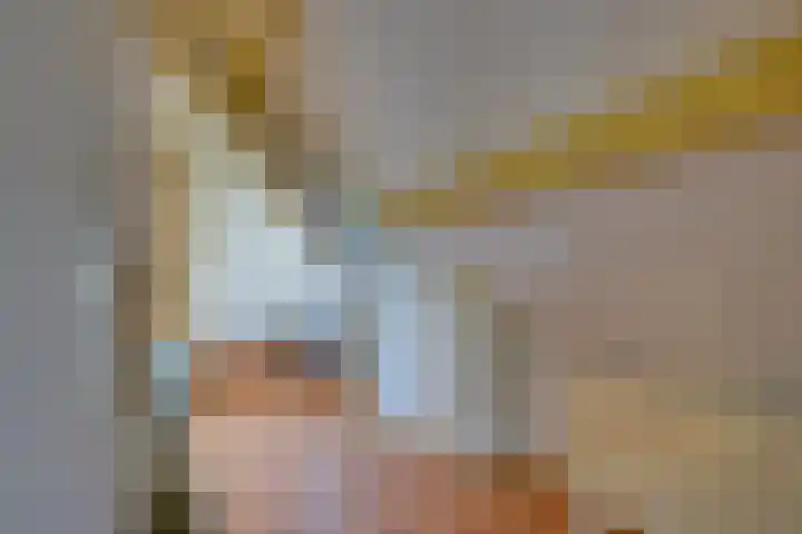 Lieve Vrouwepoldersedijk 23 Stad aan 't Haringvliet thumbnail 41
