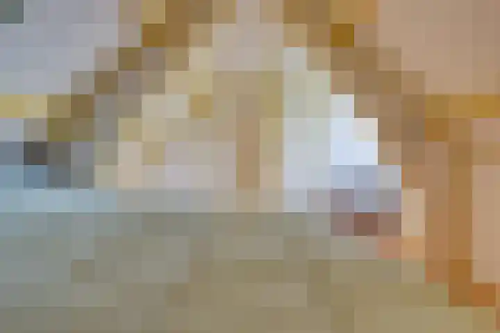 Lieve Vrouwepoldersedijk 23 Stad aan 't Haringvliet thumbnail 42
