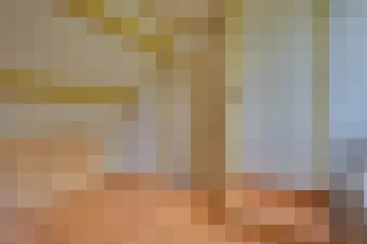 Lieve Vrouwepoldersedijk 23 Stad aan 't Haringvliet thumbnail 43