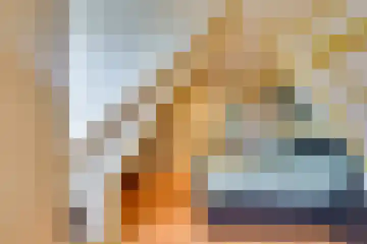 Lieve Vrouwepoldersedijk 23 Stad aan 't Haringvliet thumbnail 45
