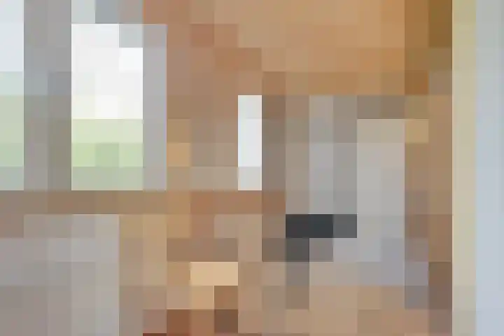 Lieve Vrouwepoldersedijk 23 Stad aan 't Haringvliet thumbnail 47