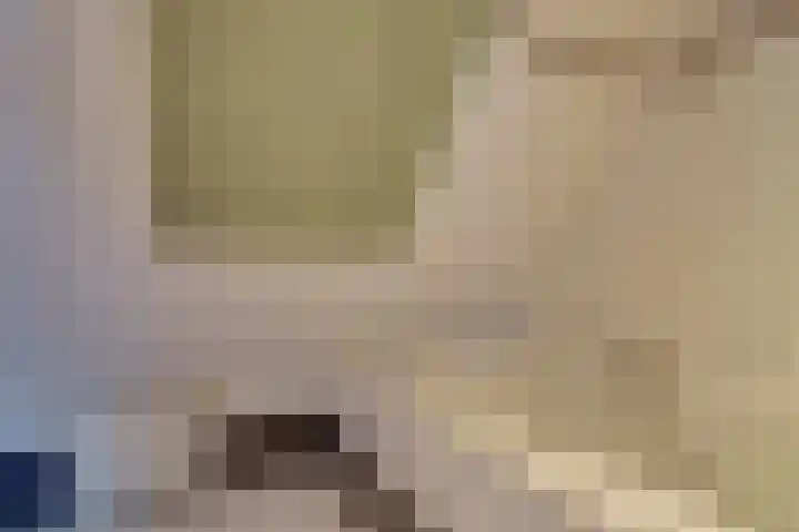 Lieve Vrouwepoldersedijk 23 Stad aan 't Haringvliet thumbnail 48