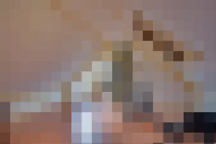 Lieve Vrouwepoldersedijk 23 Stad aan 't Haringvliet thumbnail 51