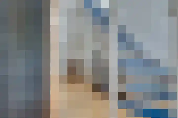 Lieve Vrouwepoldersedijk 23 Stad aan 't Haringvliet thumbnail 52