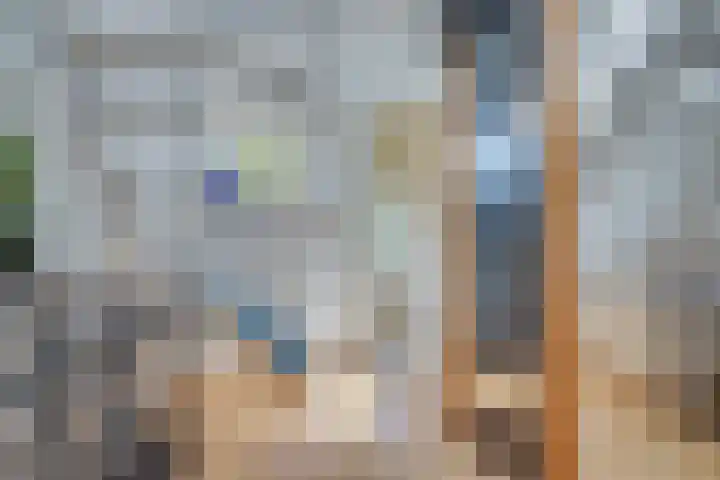 Lieve Vrouwepoldersedijk 23 Stad aan 't Haringvliet thumbnail 54