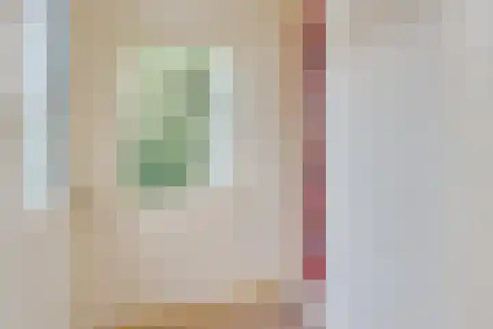 Lieve Vrouwepoldersedijk 23 Stad aan 't Haringvliet thumbnail 55