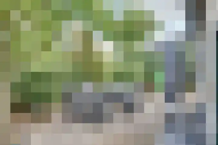 Lieve Vrouwepoldersedijk 23 Stad aan 't Haringvliet thumbnail 58