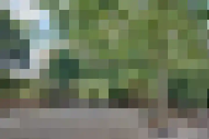 Lieve Vrouwepoldersedijk 23 Stad aan 't Haringvliet thumbnail 59