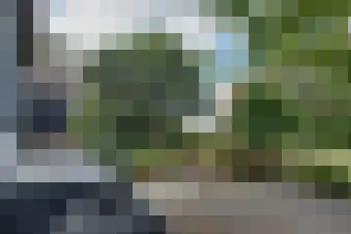 Lieve Vrouwepoldersedijk 23 Stad aan 't Haringvliet thumbnail 60