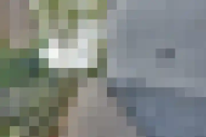 Lieve Vrouwepoldersedijk 23 Stad aan 't Haringvliet thumbnail 61
