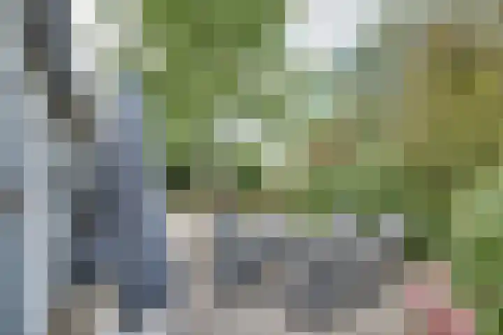 Lieve Vrouwepoldersedijk 23 Stad aan 't Haringvliet thumbnail 62