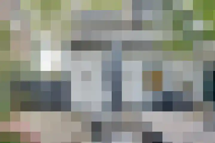Lieve Vrouwepoldersedijk 23 Stad aan 't Haringvliet thumbnail 63