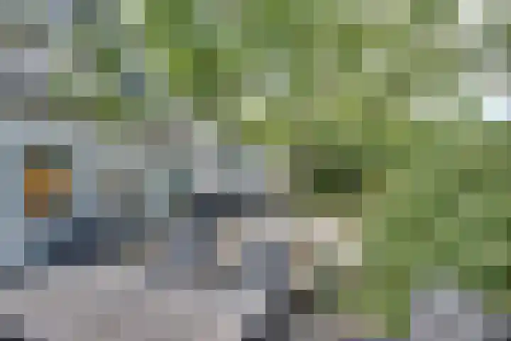 Lieve Vrouwepoldersedijk 23 Stad aan 't Haringvliet thumbnail 64