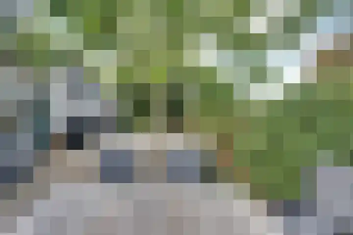 Lieve Vrouwepoldersedijk 23 Stad aan 't Haringvliet thumbnail 65