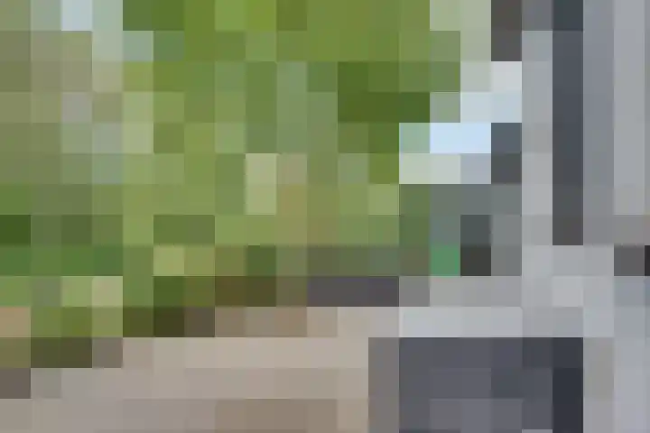 Lieve Vrouwepoldersedijk 23 Stad aan 't Haringvliet thumbnail 66