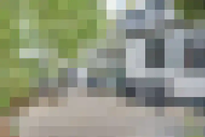 Lieve Vrouwepoldersedijk 23 Stad aan 't Haringvliet thumbnail 67