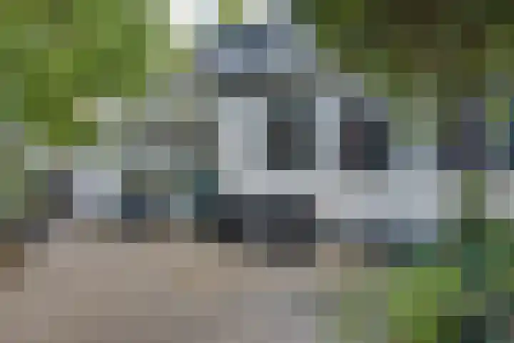 Lieve Vrouwepoldersedijk 23 Stad aan 't Haringvliet thumbnail 68