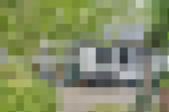 Lieve Vrouwepoldersedijk 23 Stad aan 't Haringvliet thumbnail 69