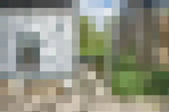Lieve Vrouwepoldersedijk 23 Stad aan 't Haringvliet thumbnail 7