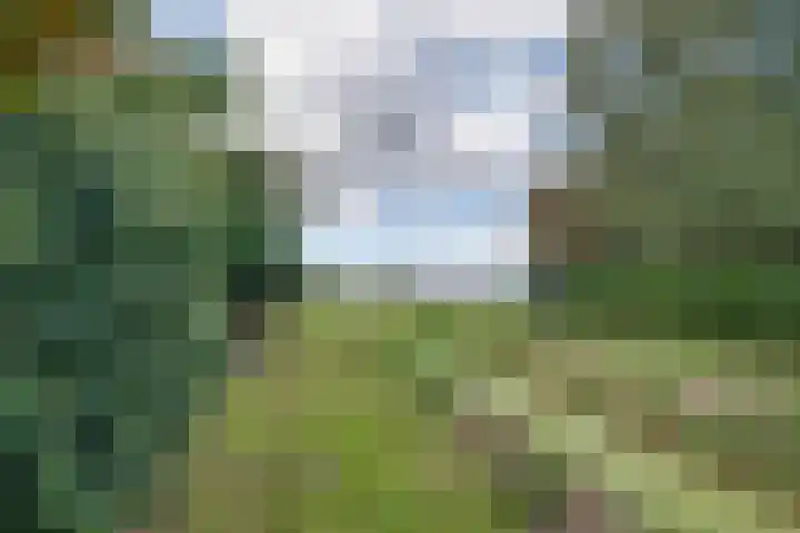 Lieve Vrouwepoldersedijk 23 Stad aan 't Haringvliet thumbnail 70