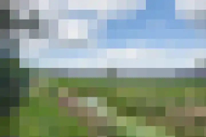 Lieve Vrouwepoldersedijk 23 Stad aan 't Haringvliet thumbnail 71