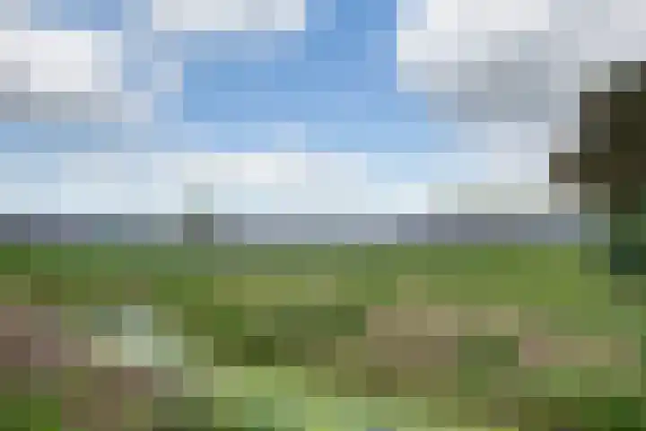 Lieve Vrouwepoldersedijk 23 Stad aan 't Haringvliet thumbnail 72