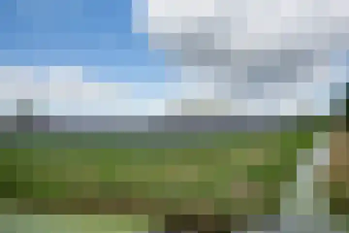 Lieve Vrouwepoldersedijk 23 Stad aan 't Haringvliet thumbnail 73