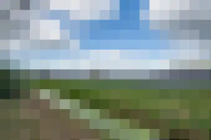 Lieve Vrouwepoldersedijk 23 Stad aan 't Haringvliet thumbnail 74