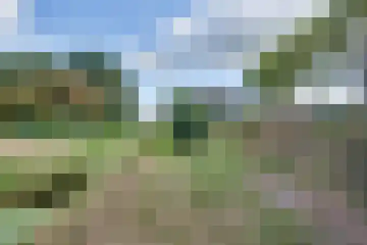 Lieve Vrouwepoldersedijk 23 Stad aan 't Haringvliet thumbnail 75