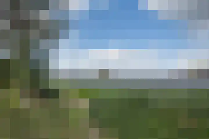 Lieve Vrouwepoldersedijk 23 Stad aan 't Haringvliet thumbnail 76