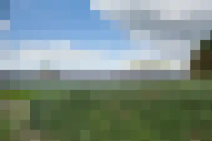 Lieve Vrouwepoldersedijk 23 Stad aan 't Haringvliet thumbnail 77