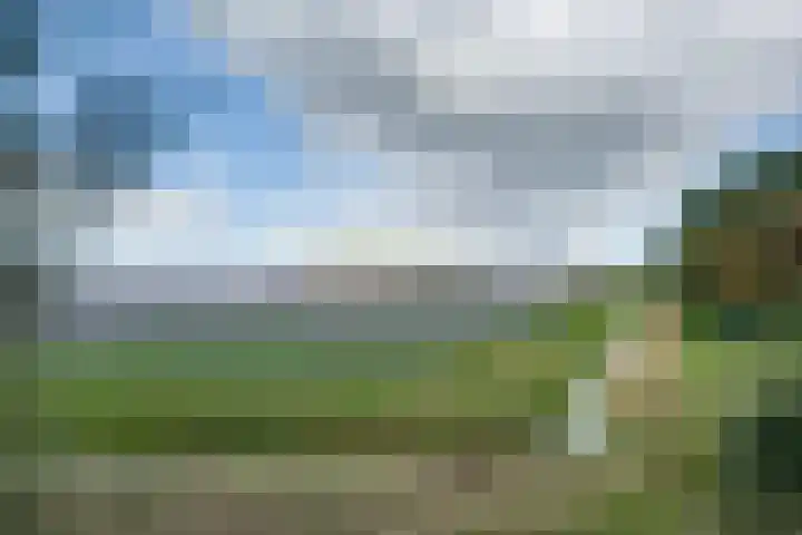 Lieve Vrouwepoldersedijk 23 Stad aan 't Haringvliet thumbnail 78