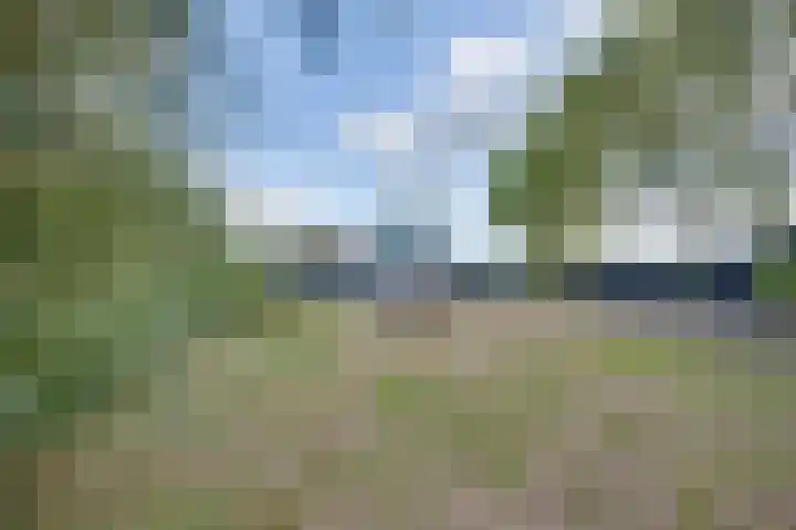 Lieve Vrouwepoldersedijk 23 Stad aan 't Haringvliet thumbnail 79
