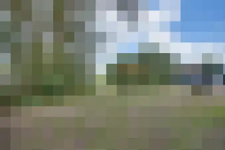Lieve Vrouwepoldersedijk 23 Stad aan 't Haringvliet thumbnail 80