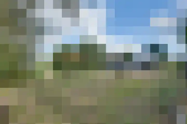 Lieve Vrouwepoldersedijk 23 Stad aan 't Haringvliet thumbnail 81