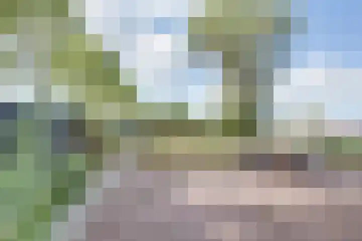 Lieve Vrouwepoldersedijk 23 Stad aan 't Haringvliet thumbnail 82
