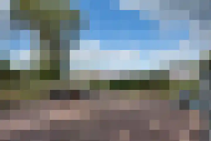 Lieve Vrouwepoldersedijk 23 Stad aan 't Haringvliet thumbnail 83