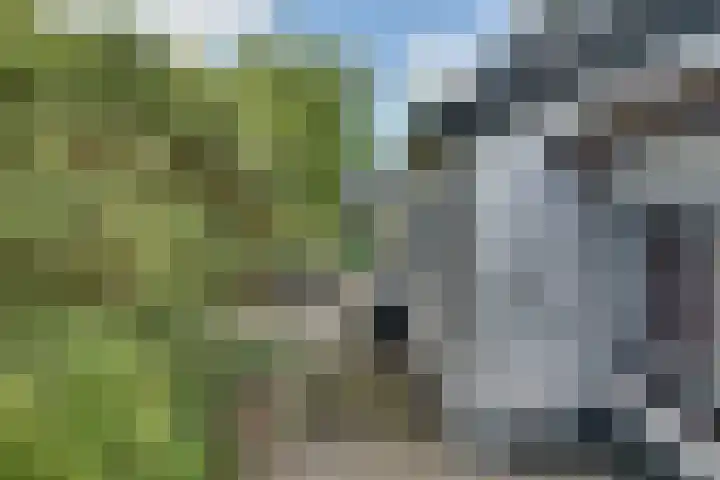 Lieve Vrouwepoldersedijk 23 Stad aan 't Haringvliet thumbnail 85