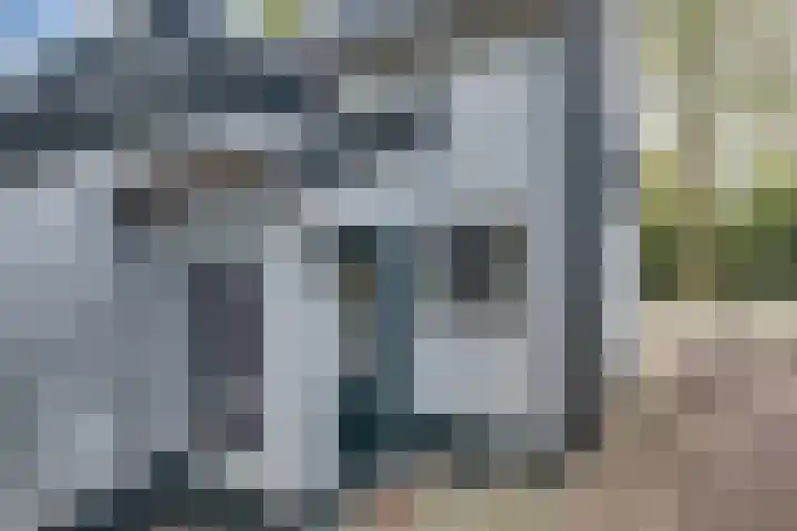 Lieve Vrouwepoldersedijk 23 Stad aan 't Haringvliet thumbnail 86