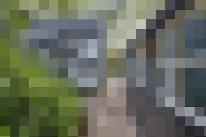 Lieve Vrouwepoldersedijk 23 Stad aan 't Haringvliet thumbnail 87
