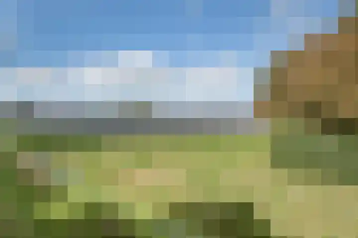 Lieve Vrouwepoldersedijk 23 Stad aan 't Haringvliet thumbnail 88