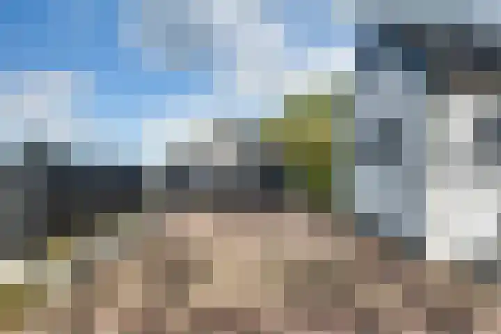 Lieve Vrouwepoldersedijk 23 Stad aan 't Haringvliet thumbnail 9