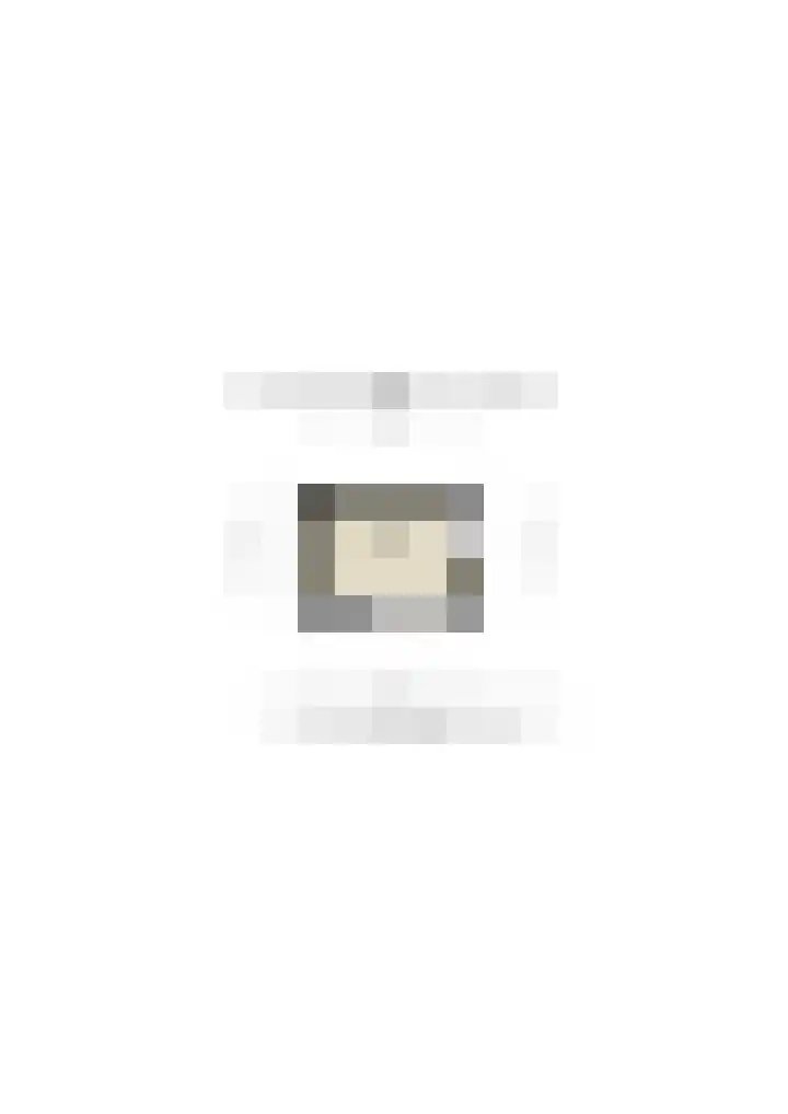 Lieve Vrouwepoldersedijk 23 Stad aan 't Haringvliet thumbnail 93