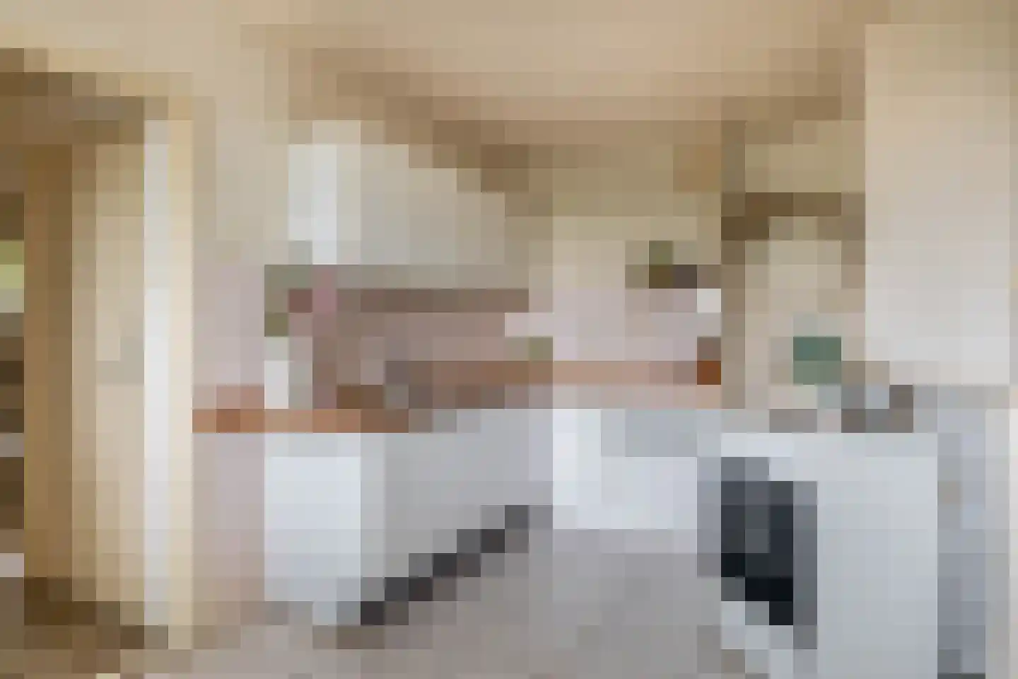 Lieve Vrouwepoldersedijk 33 Stad aan 't Haringvliet thumbnail 10