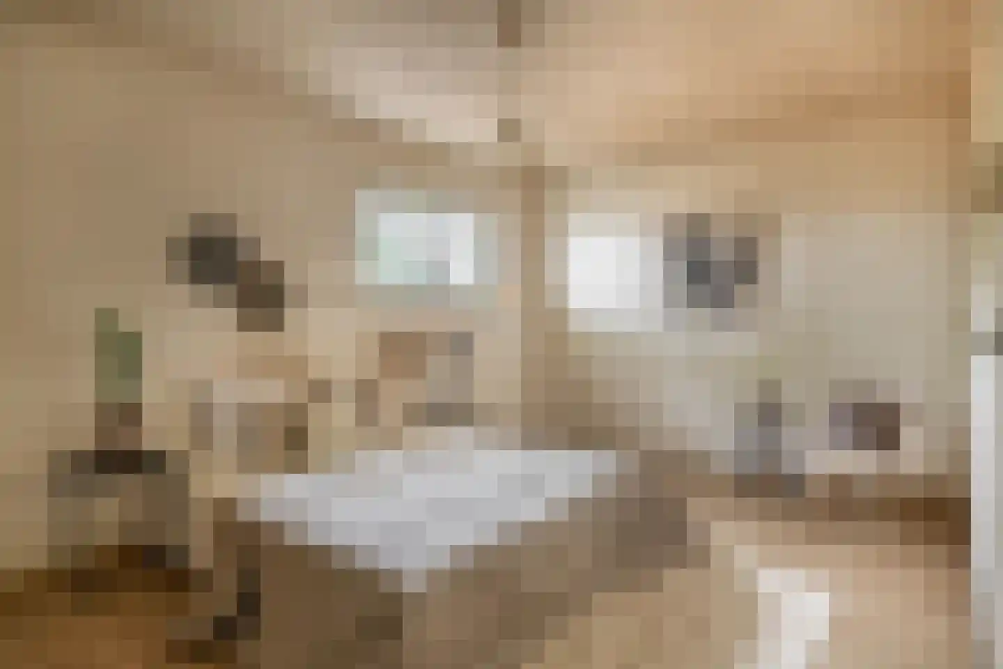 Lieve Vrouwepoldersedijk 33 Stad aan 't Haringvliet thumbnail 12