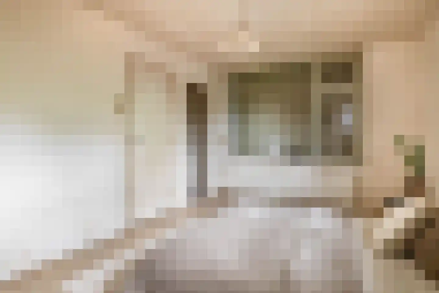Lieve Vrouwepoldersedijk 33 Stad aan 't Haringvliet thumbnail 13