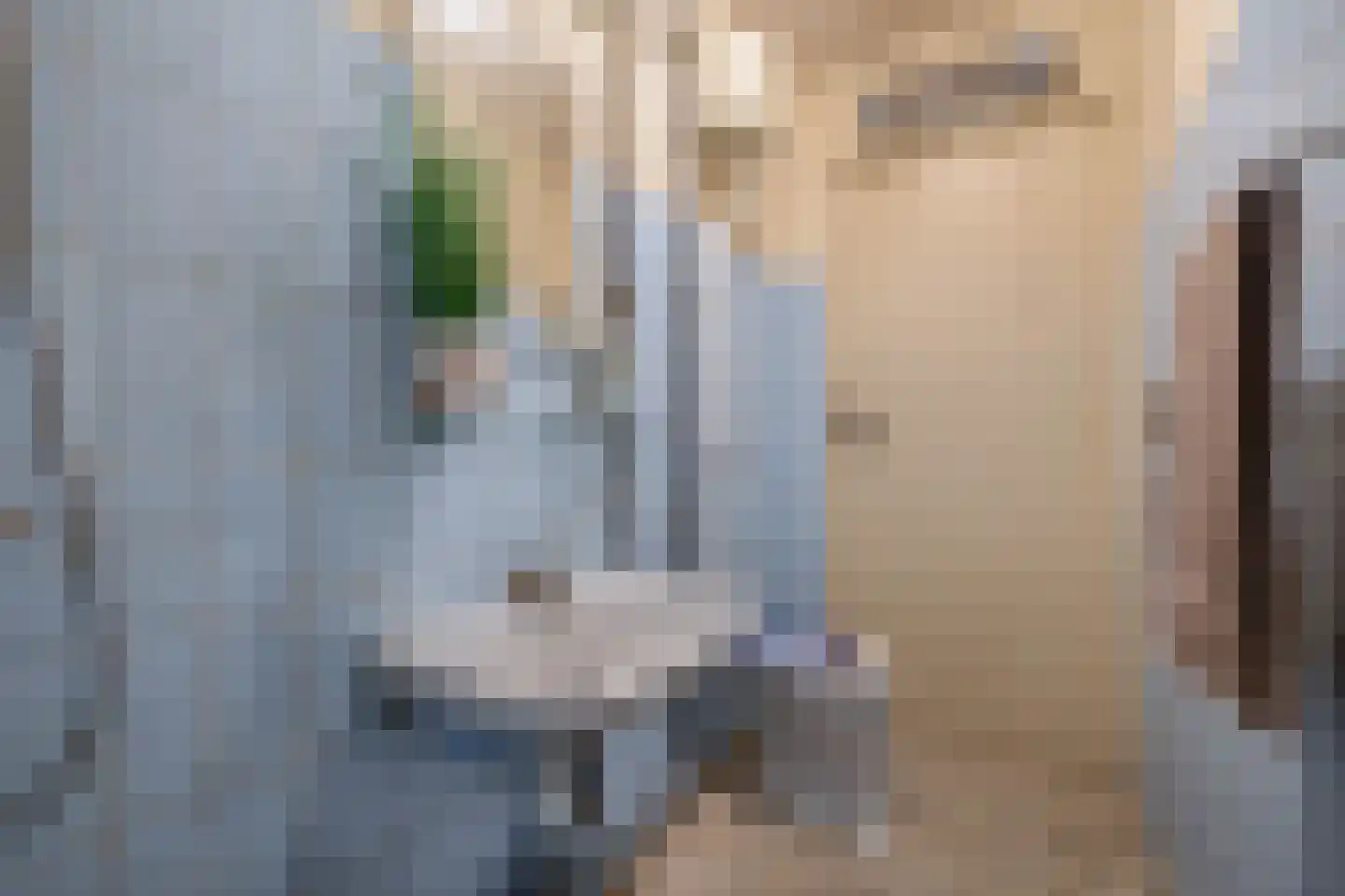Lieve Vrouwepoldersedijk 33 Stad aan 't Haringvliet thumbnail 16
